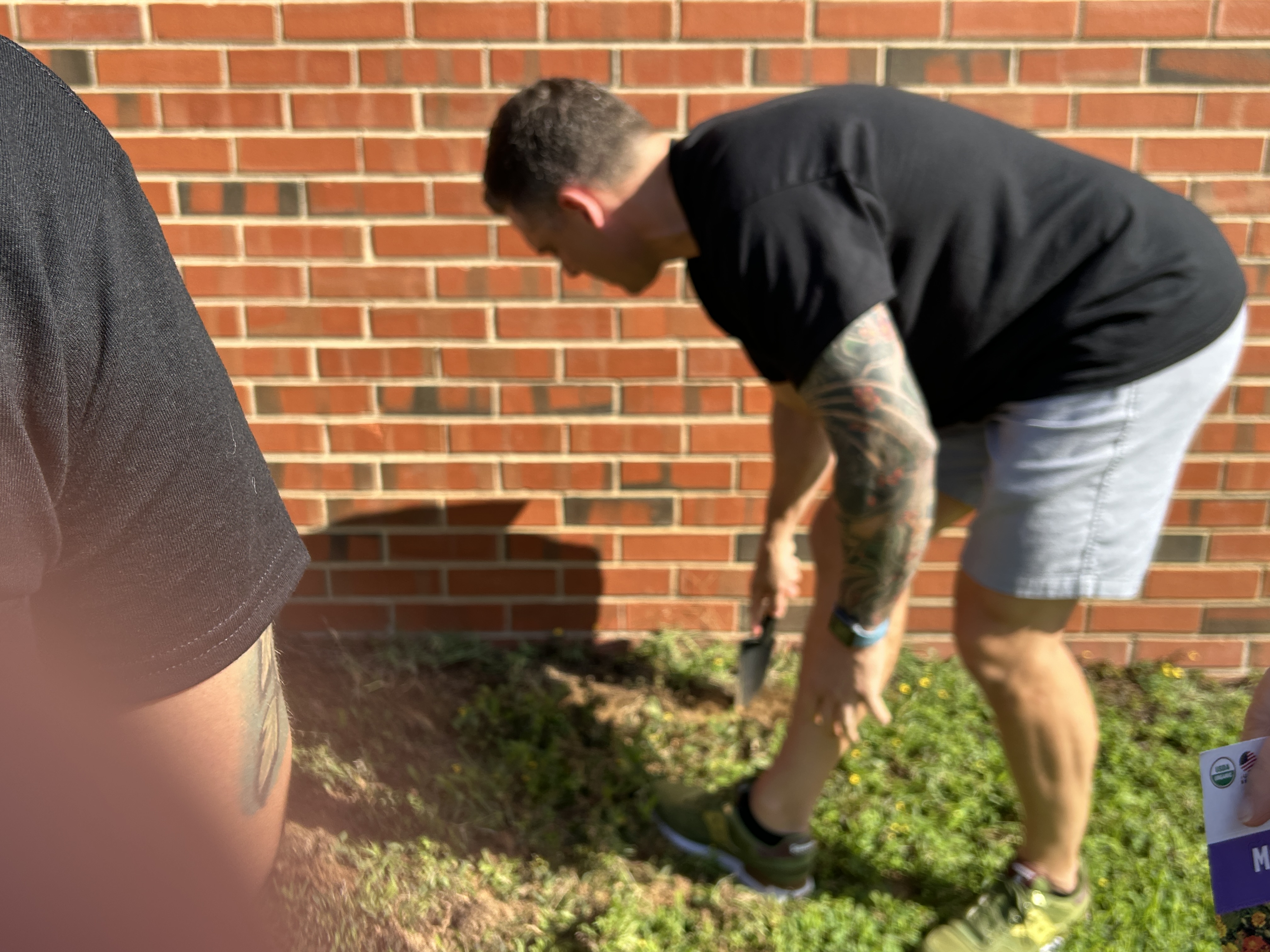 Staff planting marigolds