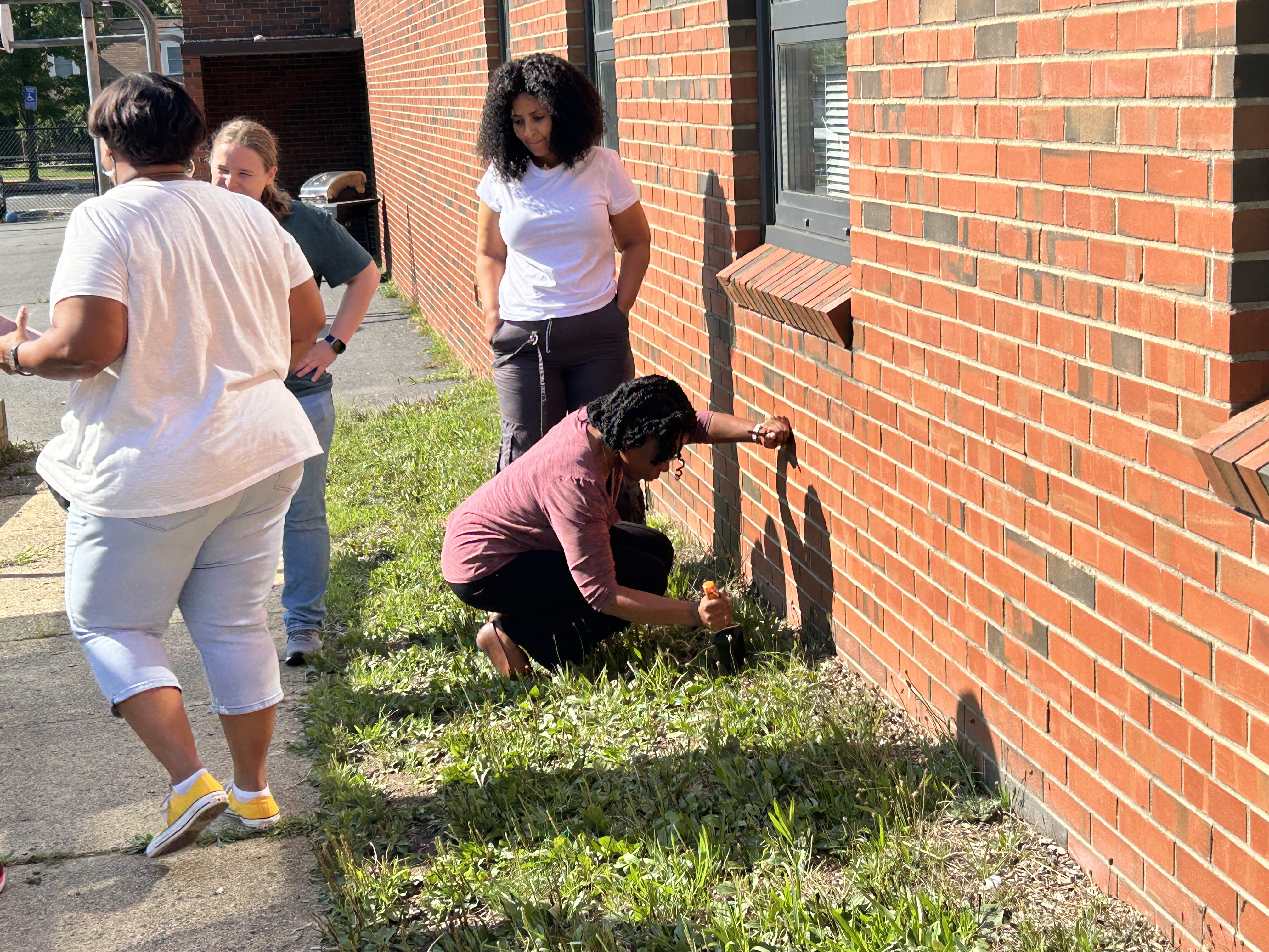 Staff planting marigolds