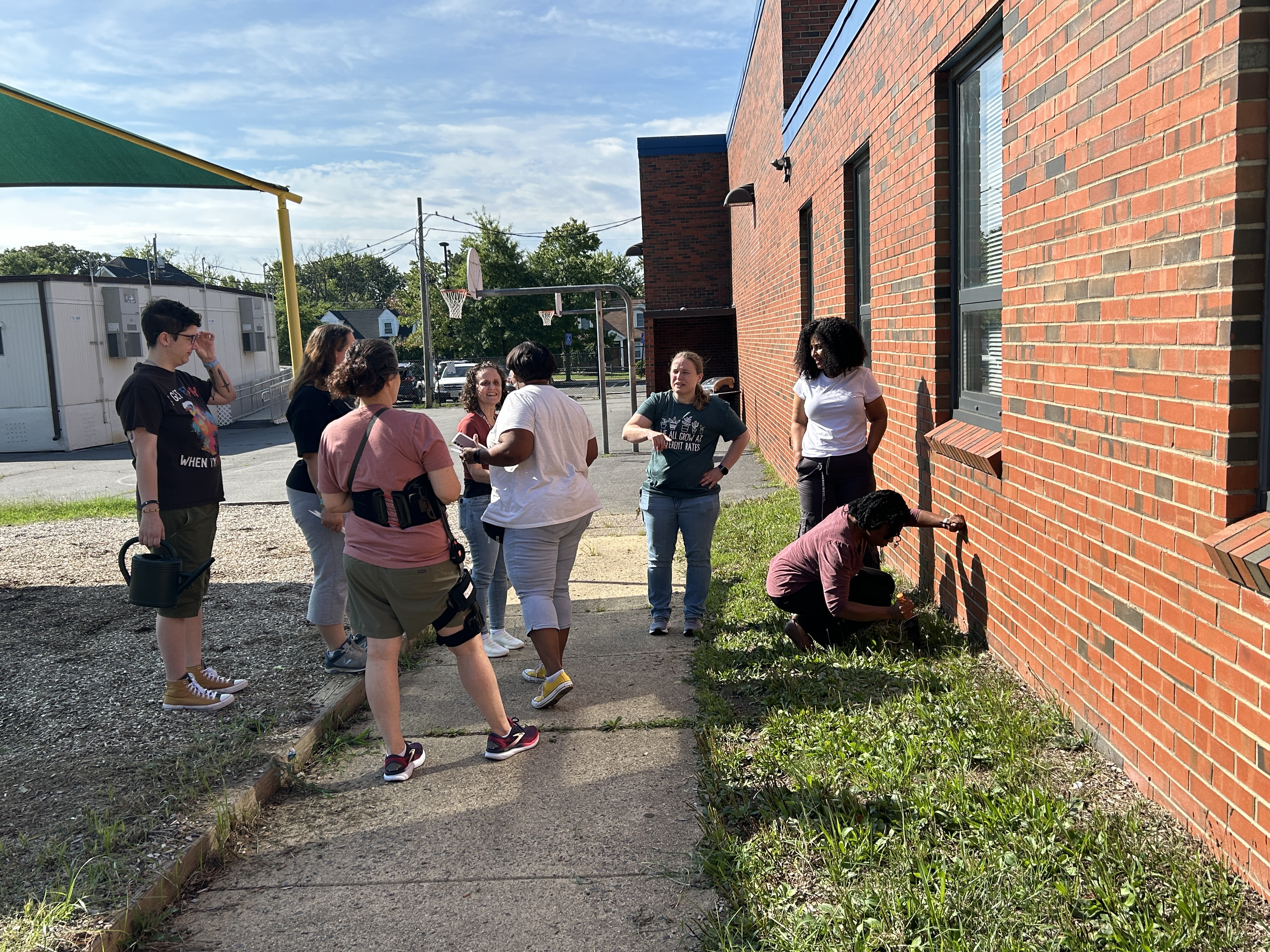 Staff planting marigolds