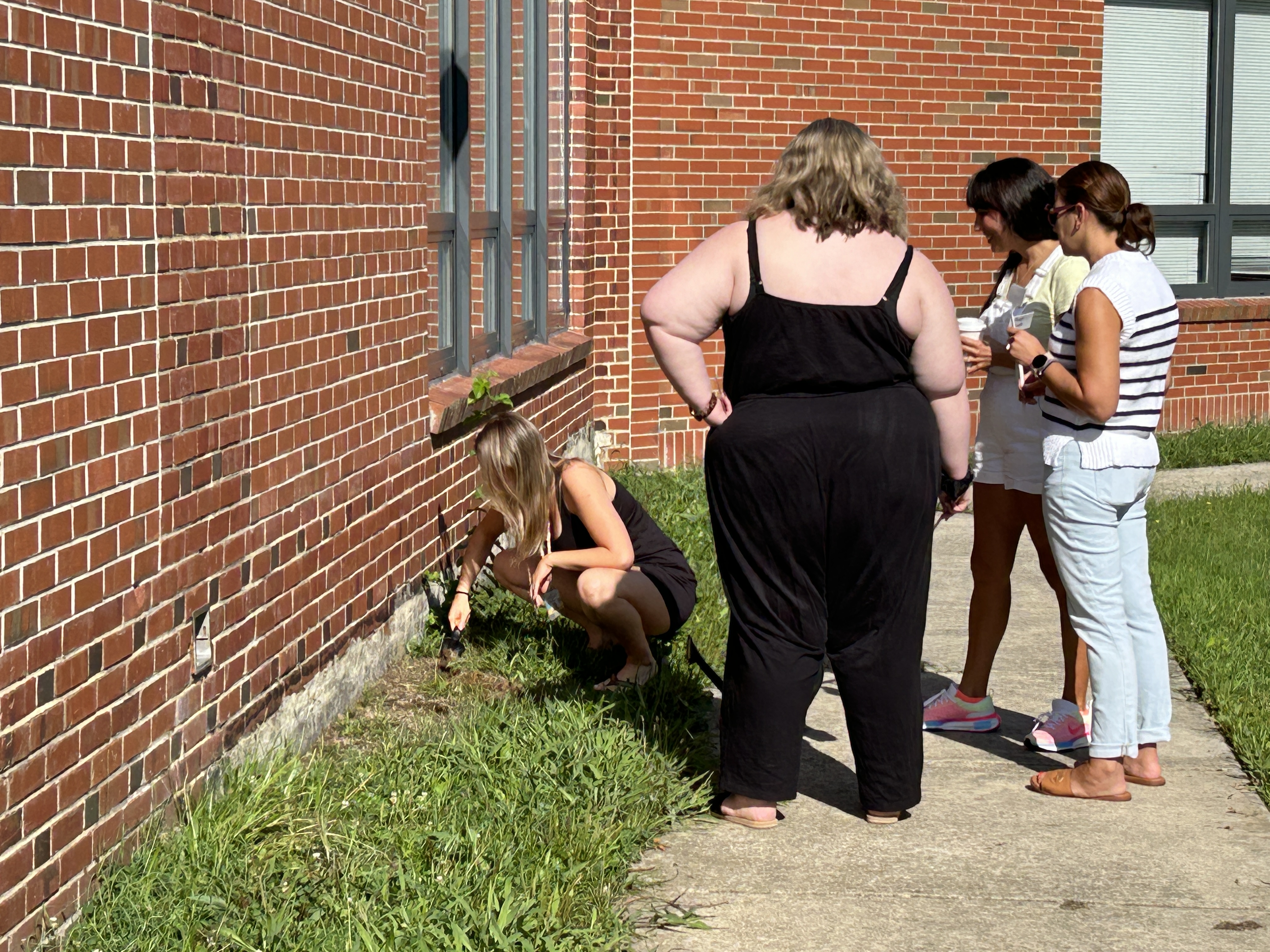 Staff planting marigolds