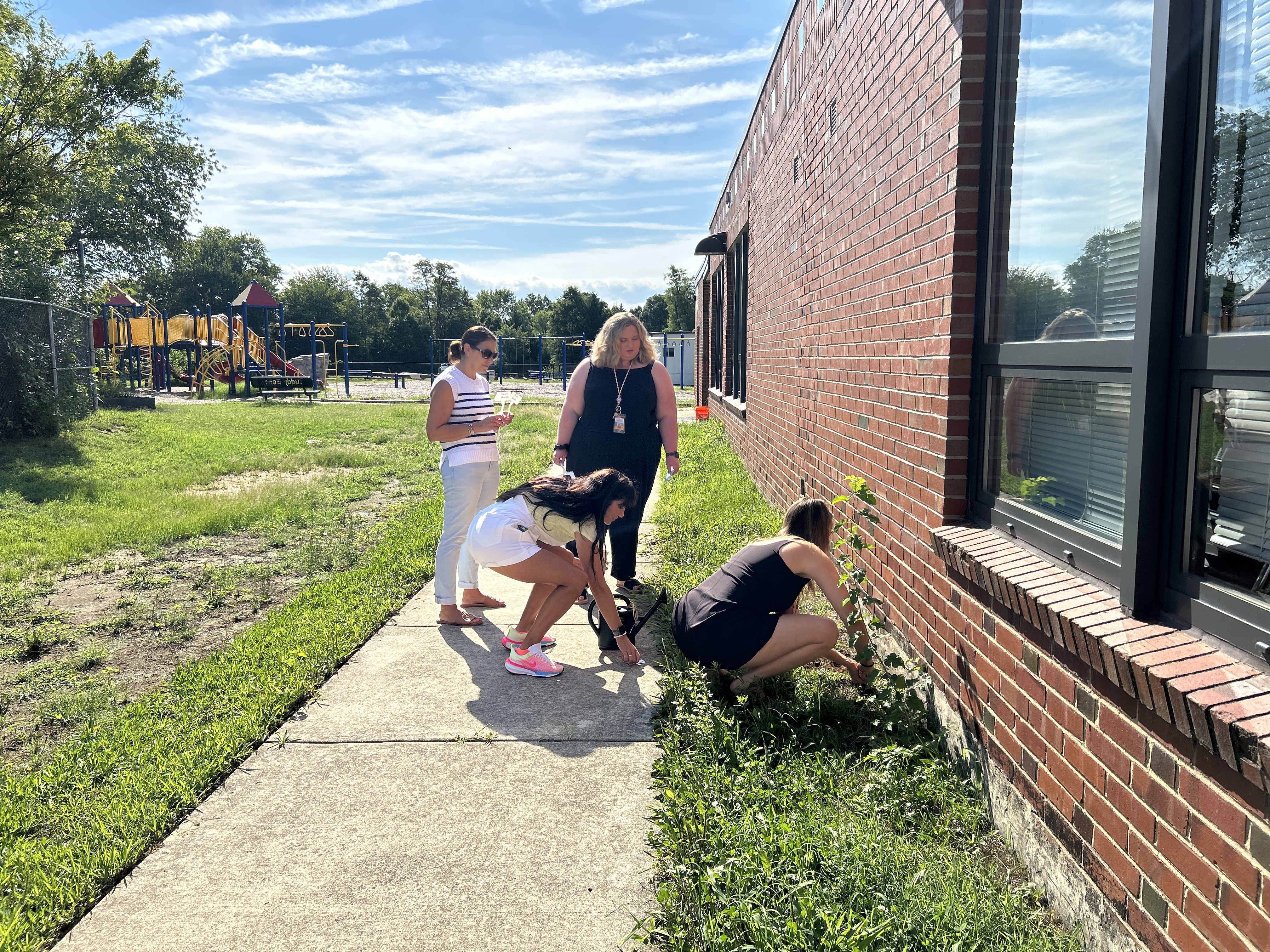 Staff planting marigolds