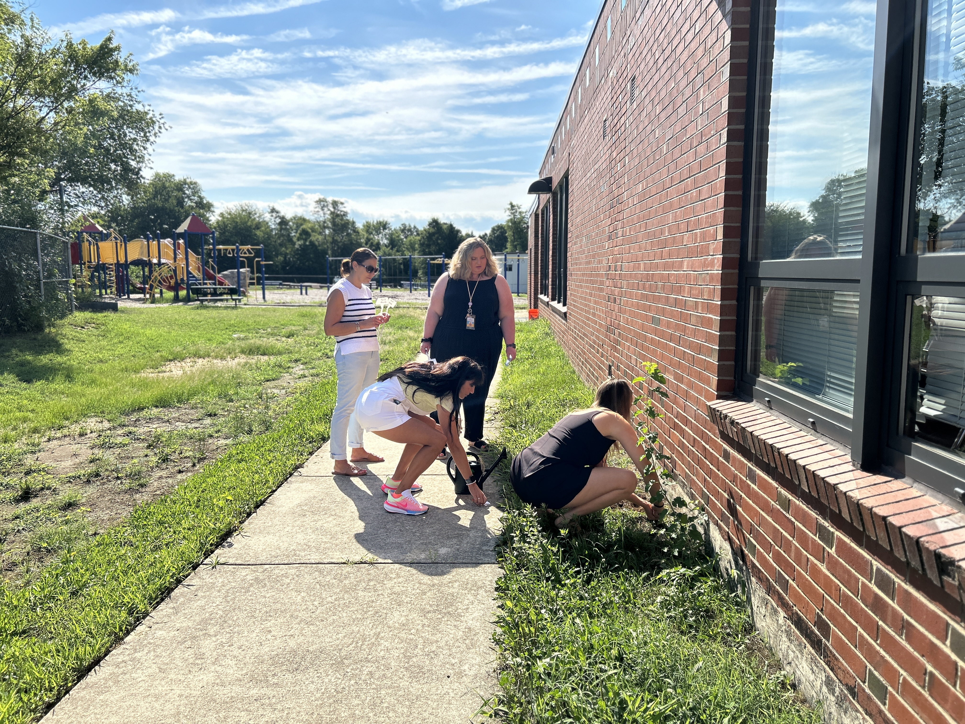 Staff planting marigolds