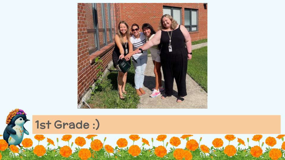 Staff planting marigolds