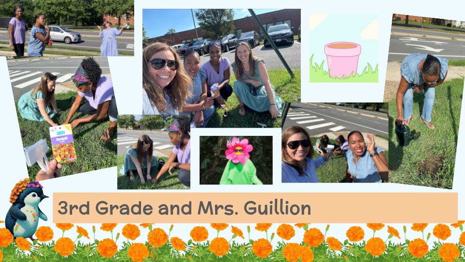 Staff planting marigolds